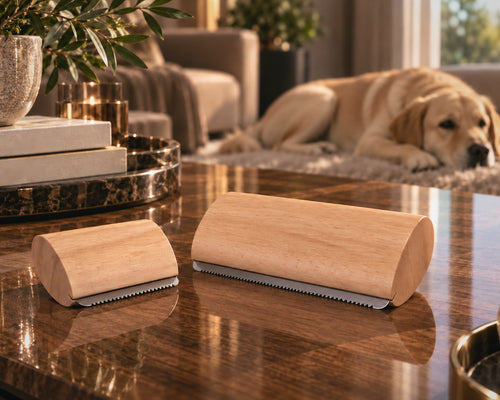 Pack Duo Wood&Fur : peignes anti-poils courts en bois naturel, tailles Small et Large, sur une table de salon avec un labrador
